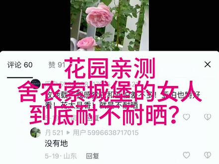 月季篇|舍农索城堡的女人
舍农索城堡的女人到底耐不耐晒?一起来看答案吧。#爱生活爱养花 #月季 #花卉绿植 #vlog日常 #小院时光