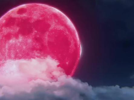 188预告:净莲妖火降世#斗破苍穹 #净莲妖火