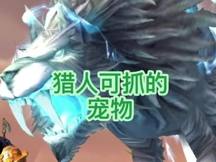 魔兽世界猎人可抓的宠物-裂齿#游戏精彩时刻 #魔兽世界 #特效 #一起玩游戏 #新手必看 #游戏日常 #怀旧游戏 #wow #实用 #经典游戏 #魔兽青春 #暴雪 #稀有 #攻略 #视觉震撼 #狼 #闪电狼 #潘达利亚