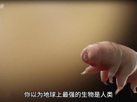 就算地球被核弹炸平,就算太阳熄灭,水熊虫还能活着! #水熊虫 #科普 #科普一下 #探索发现 #探索未知