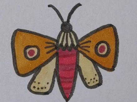 这样的飞蛾你画过吗#简笔画 #简笔画教程 #每日一画 #飞蛾