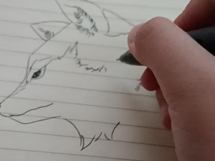 看过狼王梦的朋友们,猜一下我画的是谁?#狼王梦