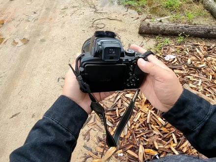 入门级的数码相机,能不能拍出专业级效果?看视频说话! #长焦 #数码相机