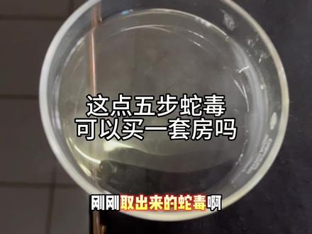 蛇毒比黄金贵,那么问题来了,这点五步蛇毒可以买一套房吗?#五步蛇毒 #五步蛇