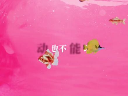 四十七分钟随机播放歌曲合集,我们一起来聆听吧 #随机歌曲#音乐合集#音乐分享#音乐推荐#听歌