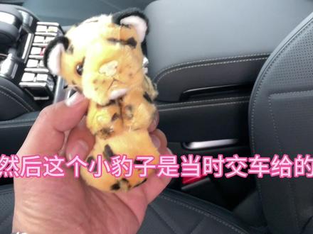 我的方程豹我自己还没开过#方程豹豹5 #方程豹汽车 #方程豹豹5