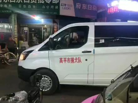 #晋城头条 #捕犬队 请我市市民及时办理相关犬类证件,以免遗失爱犬。相应创建文明城市