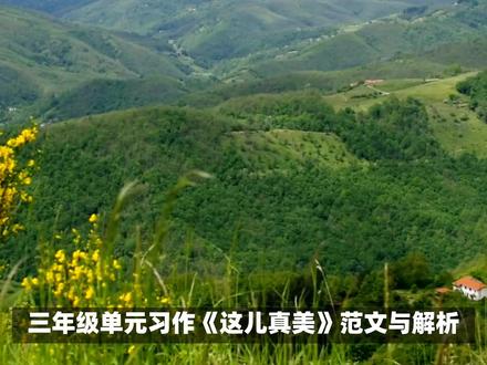 三年级单元习作《这儿真美》范文解析