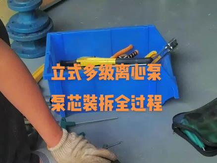 如何装拆不锈钢立式多级离心泵泵心 立式多级离心泵泵心装拆全过程#抖音创业者大会 #水泵维修 #专业的事交给专业的人 #中山水泵 #安装教程