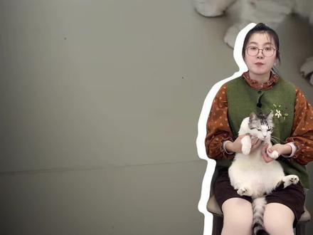 猫咪呕吐不要慌!一条视频快速自查原因!#新手养猫 #科学养猫 #猫咪呕吐 #科普 #科学养宠攻略