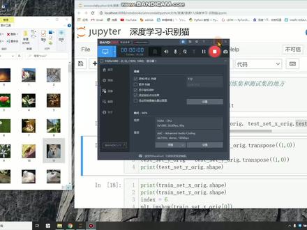 深度学习-识别猫 #python #pytorch #深度学习