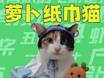 【梗知识】萝卜纸巾猫 #萝卜纸巾 #萌宠出道计划 #梗 #哈基米