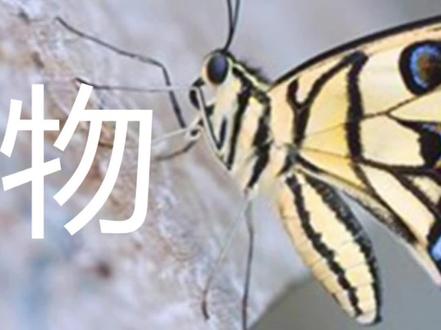 #学浪计划 #思维导图 #每天学习一点点 #小学科学 小学 科学 思维导图 知识点整理 《动物》专题