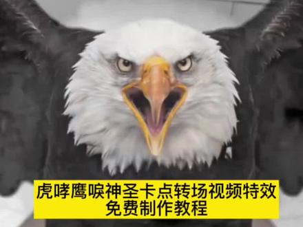 虎啸鹰唳神圣卡点转场特效视频制作教程!
#一种很神圣的卡点
#一种很神圣的卡点教程
#神圣的卡点模板 #剪映
一种很神圣的卡点也是被你用上了 # 老虎吼叫声 老鹰特效
# 狗狗超燃剪辑 狗狗压迫感超燃剪辑 #老虎老鹰卡点 老虎老鹰卡点视频制作 神圣卡点老虎