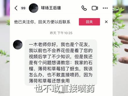 家里种的盆栽,长了虫子,但不想用农药,该怎么解决?#一木养花秘籍