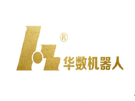 赋值指令介绍