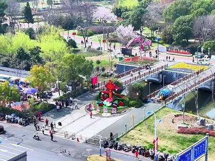 芜湖神山公园郁金香赏花路线图来了 #芜湖#郁金香