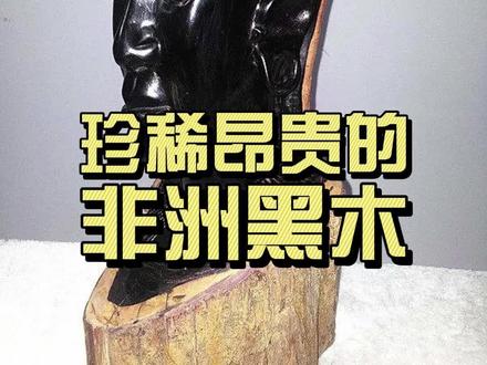 最珍稀昂贵的木材之一:非洲黑木 #科普知识