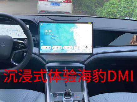 沉浸式体验比亚迪海豹DMI@DOU+小助手 #比亚迪 #海豹DMI #海豹 #dou是好车 #提车仪式