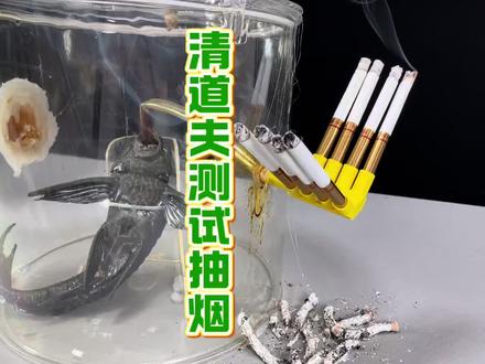 清道夫一口气抽8根香烟测试 #瓜子二手车 #清道夫 #趣味实验 #戒烟