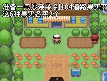 究极绿宝石5.4疯子模式 一周目渡闪教程