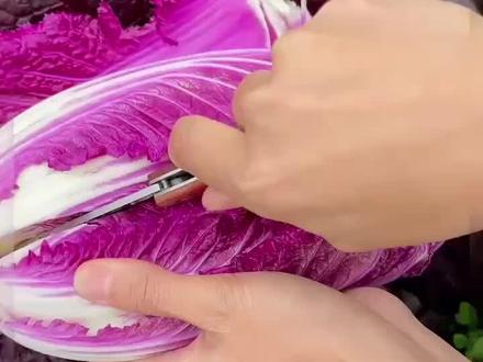 这个好看又好吃的紫白菜你见过吗?它营养丰富紫红的叶片含有丰富的花青素,用来凉拌或者炒菜都非常好吃!#紫白菜种子 #花卉绿植 #我的乡村生活