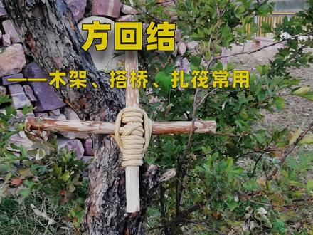 方回结——轻松解决圆柱形物体捆绑难的问题#绳结 #户外