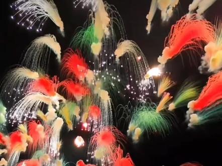 请欣赏精彩漂亮!烟花!2026年2月23号(年初七)。