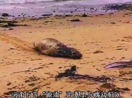 河南方言之“顾涌”,出门在外雇佣兵们学会了吗?#河南方言#整活#行为艺术#顾涌兵#打工人