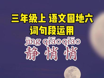 三年级上册语文 语文园地6 词句段运用 视频实景展示,孩子看到视频画面,是不是造句就更容易了呢?家长赶紧给收藏保存吧!#三年级语文园地六 #词句段运用