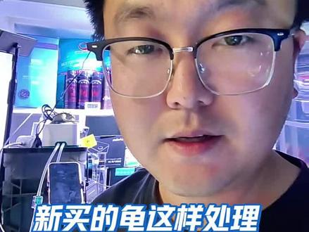新买的龟到家这么处理,一定能缩短开食时间,更快的不怕人#养龟日常 #养龟人 #养龟日记 #龟宠时代 #新龟到家