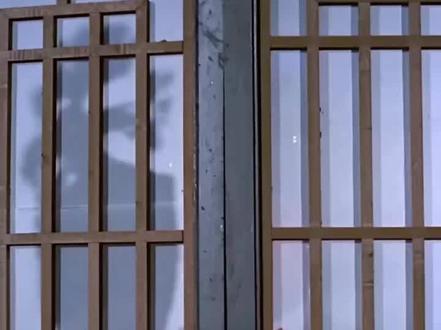 雪山救狐狸,但是100个农夫#雪山救狐狸