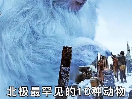 北极最罕见的10种动物#神奇动物在抖音