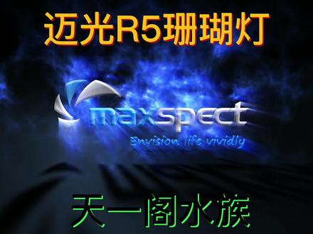 迈光R5珊瑚灯使用视频