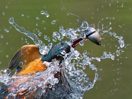 复杂背景下这样的水花应该怎么去抠?这个方法你一定不知道!#ps #ps技能 #ps教程 #ps教学 #ps技巧 #ps基础 #平面设计 #ps抠图 #ps抠水花 #创作灵感 #设计案例