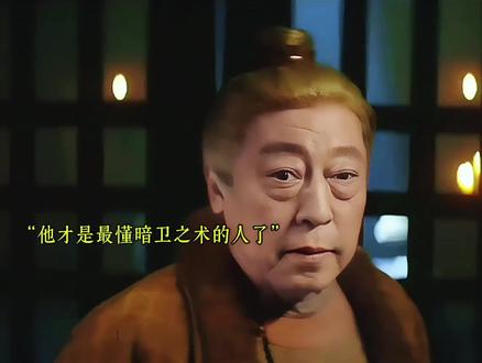 原来岑咸菜才是幕后执棋者#长安二十四计