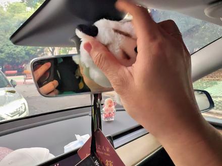 特斯拉车内摄像头遮挡新玩法 #真实生活分享官 #特斯拉 #特斯拉modely #邪恶大鼠标