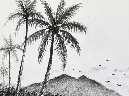 教大家画一幅椰子树,我不信你学不会! #零基础学画画 #素描 #绘画教程 #原创 #跟着抖音学画画