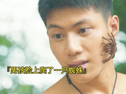 #电影剪辑 #电影推荐#高清60帧 #因为一个片段看了整部剧