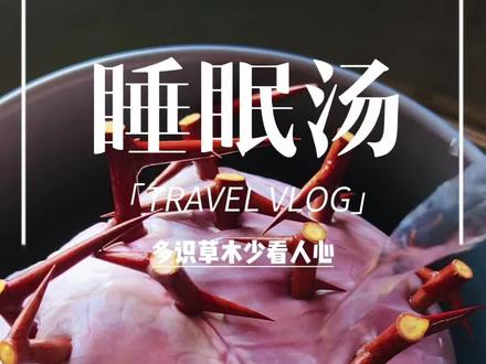 皂角刺炖猪心在民间称之为“睡眠汤”,老祖宗智慧传承你吃过吗#小妙招大作用 #生活窍门#美食 #我的乡村生活 #皂角刺炖猪心 @抖音创作小助手 @抖音生活服务 @抖音创作灵感