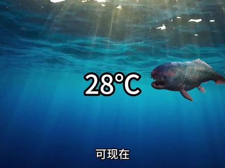如果一条邓氏鱼突然出现在现代海洋,他还能站在食物链顶端吗? #科普 #知识 #史前巨兽 #邓氏鱼