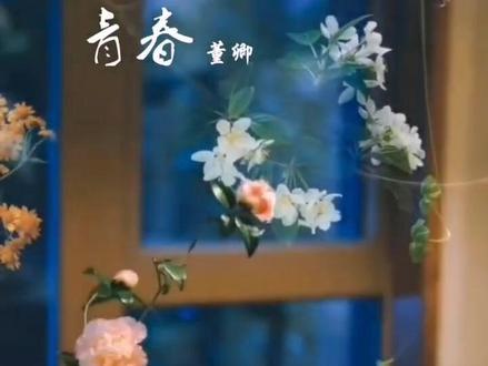 全网推荐董卿美文《青春》背景音乐#朗诵合拍 #音乐