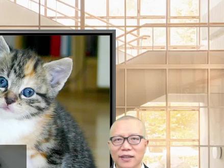 WPS对照演示PPT批量换背景、改文字、换logo。笨办法、慢办法,不如巧办法、快办法。#ppt教学 #ppt #office办公技巧 #wps #wps演示 #ppt模板 #ppt教程 #演讲 #口才 #演说 #职场 #企业培训