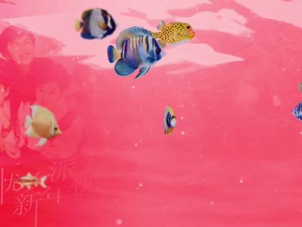 四十七分钟2026拜年歌曲大合集,辞旧迎新,金马迎春。新的一年,奔赴美好,不负热爱。马蹄声声报春来,2026,愿你眼里有光,心中有爱,脚下有路,沿途有风景,前方有归途。遇见皆天意,拥有皆幸运。#新年快乐 #新年歌曲#过年了过年了 #经典歌曲 #音乐种草计划 #音乐合集