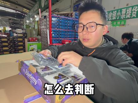 教你一招小技巧看蓝莓好坏 #蓝莓 #水果批发 #水果批发市场 #水果人的日常 #水果店