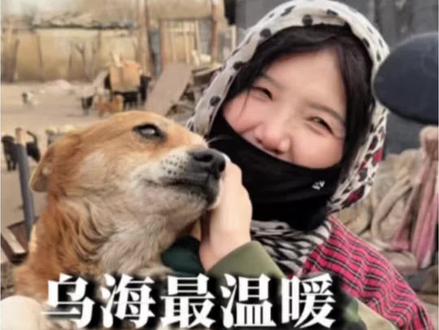 我希望所有的小狗小猫
都能够拥有热水防风的屋子和不必饥饿的肚子
亲爱的流浪小狗希望我们永远都有下次见
感谢 王倩牛羊生熟下水批发 提供的冻货物资@🎀🎀 #流浪狗 #救助流浪狗 #温暖 #人间观察计划 #青年创作者成长计划