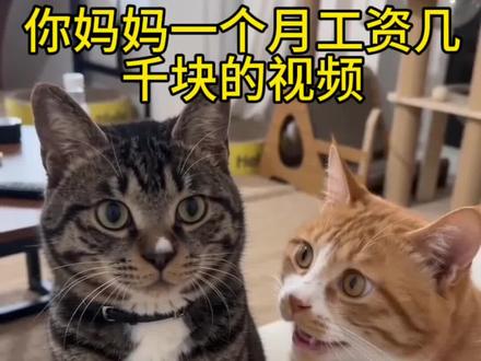 ai两只小猫对话视频特效教程 你妈妈一个月工资几千块特效入口 #你妈妈一价用工资几千块 #小猫ai
猫咪ai两只猫A互怼 A猫咪怼人对话 猫咪AI搞笑对话 两只猫ai互动视频 猫咪ai对话特效 最近3天火爆萌宠视频才狗小猫ai视频 #两只猫对话a视频制作播唻A树四型小耀A搞笑熙苷两洪猫敲掃款跳转
么拍#剪映 两克猫对诺当制榨教程ai猫对话视频制作教程 AI萌宠对话教程#两只猫对话ai猫咪AI语音对话 两只猫Al拌嘴 小猫AI吐槽视频 两只猫AI聊天
ai视频对话生成器 宠物AI对话生成 萌宠AI对话特效
猫狗AI互动视频 宠物AI短剧制作 萌宠AI对话模板
猫咪A对话教学 猫咪AI脱口秀视频 你妈妈一个月工资ai 你妈妈一个月工资几万ai制作口令 你妈妈一个月工资几千块是多少钱你妈妈一个月工资ai怎么做你妈妈一个月工资几千块同款 你妈妈一个月挣多少钱 两只猫对话ai怎么做