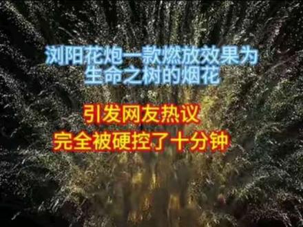 划走你就草率了,就十分钟,完全被硬控了 #真实生活分享计划 #生命之树 #爆竹声声辞旧岁 #年味 #颐和隆神仙打架 @颐和隆烟花