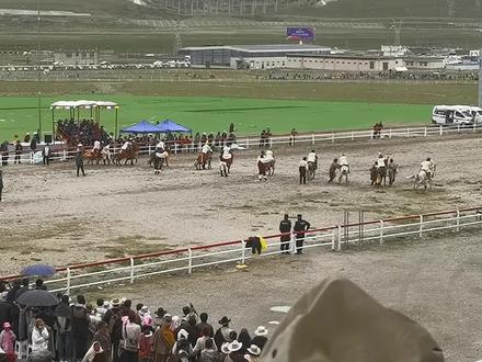 #2023年当吉仁赛马会 5000米走马🐎决赛