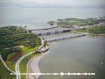 为什么说白银是“未来能源的钥匙”?一场关于电力与货币话语权的争夺已开始。 #白银 #黄金 #2026经济 #财富思维